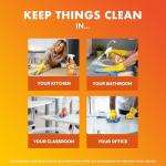Lysol Multi-Purpose Cleaner Spray, Mango & Hibiscus