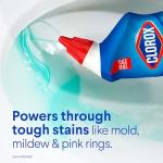 Clorox Clinging Bleach Gel Toilet Bowl Cleaner, 2-Pack