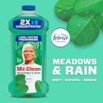 Mr. Clean Multi-Surface Cleaner, Meadows & Rain, 41oz