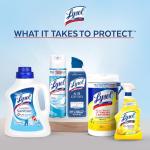 Lysol Max Strength Toilet Bowl Cleaner Gel 24 oz