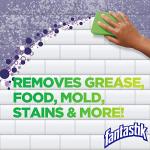 Fantastik All-Purpose Cleaner with Bleach, 32 Oz