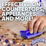 Fantastik All-Purpose Cleaner with Bleach, 32 Oz