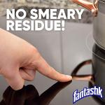 Fantastik All-Purpose Cleaner with Bleach, 32 Oz