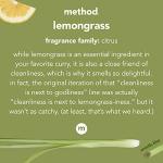 Method Heavy Duty Degreaser with Lemongrass Scent