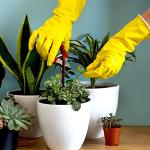 Colorful Reusable Rubber Dishwashing Gloves - 4 Pairs