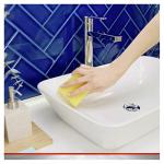 Limescale Remover Spray, 500ml (2)