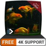 Stunning Aquarium HD Wallpaper for Your TV