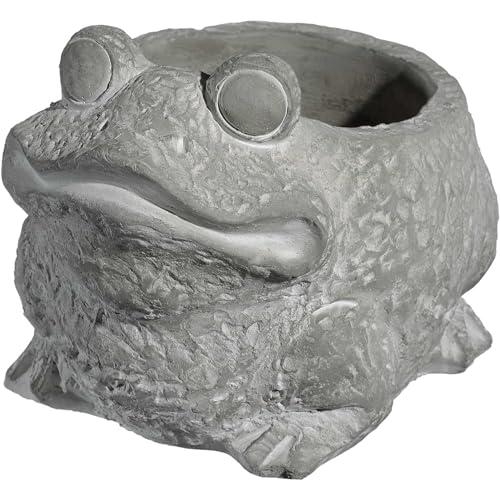 Cute Frog Cement Planter for Succulents