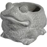 Cute Frog Cement Planter for Succulents