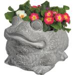 Cute Frog Cement Planter for Succulents