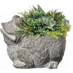 Cute Frog Cement Planter for Succulents