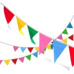 250pcs Multicolor Pennant Flags for Celebrations