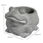 Cute Frog Cement Planter for Succulents