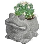 Cute Frog Cement Planter for Succulents