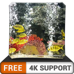 Calming Aquarium HD Wallpaper for TV and Devices