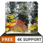 Calming Aquarium HD Wallpaper for TV and Devices