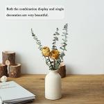 Beige Ceramic Vase Set of 3 for Home Decor