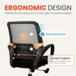 NEO CHAIR Office Desk Ergonomic Mesh Computer Chair with Lumbar Support Adjustable Height Swivel Rolling Wheels Comfy Mid Back Task Chair for Home Bedroom Vanity Study (Black)