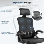 Yaheetech Ergonomic Office Chair, High Back Desk Chair with Headrest and Flip-up Armrest Lumbar Support for Home Office Meeting Room Study, Black