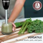 OVENTE Immersion Hand Blender, 300W Electric Handheld Portable Stick Mixer with 2 Mixing Speed and Stainless Steel Blades for Effortless Blending Smoothies, Shakes, Puree or Baby Food, Black HS560B