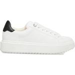 Steve Madden Charlie White Women's Sneaker