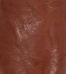 Frye Kenzie Women's Cognac Leather Loafers