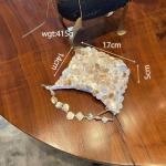 Mini Shell Beaded Clutch Purse for Women Luxury Handmade Top Handle Bag Beach Evening Handbag for Summer Vacation