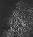 Frye Ivy Low Lace Sneakers in Black Leather