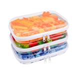 Clear Hard Shell Travel Organizer Case Set