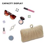 Rhinestone Pleated Evening Clutch in Gold