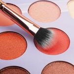 16-Piece Premium Makeup Brush Set with Eyebrow Razor