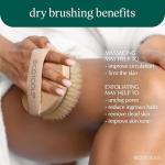 Ecotools Detoxifying Dry Body Brush for Smooth Skin