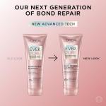 L'Oreal Paris Vegan Hair Care Kit