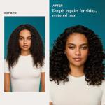 Argan Oil Hair Treatment for Dry, Frizzy Hair
