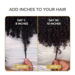 Shedavi Iconic Vegan Hair Growth Serum