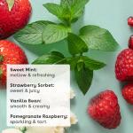 eos Natural Lip Balm Sticks 4-Pack Variety