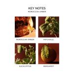 NEST New York Moroccan Amber Scented Candle