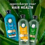 Argan Oil Repair Shampoo & Conditioner Set