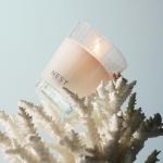 Ocean Mist and Sea Salt Luxe Candle