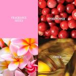 Liz Claiborne Bora Bora Women's Eau De Parfum