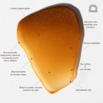 Golden Guard Reef-Safe SPF 30 Tinted Sunscreen