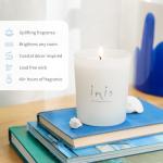 Inis Ocean-Fresh Scented Candle in Frosted Glass