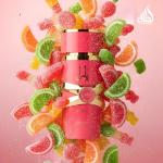 Yara Rose Luxury Fashion Handbag