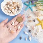 120pcs Shell Charms for Beach Jewelry Making