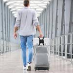 Chelmon Adjustable Bungee Luggage Straps - 2 Pack