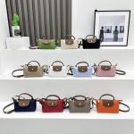 Chic Mini Crossbody Bag with Adjustable Strap