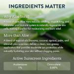 ALOHA UP Aloe Vera Tanning Oil Spray Duo