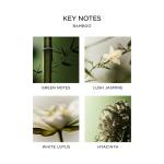 Bamboo Scented 3-Wick Candle in Glass Vessel