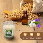 Aromatherapy Candle Set with 10 Fragrances