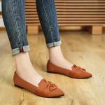 Brown Pointed Toe Ballet Flats with Bow